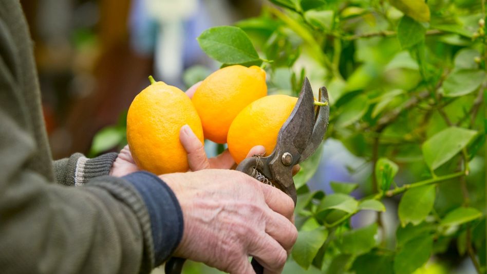 Representational Image: Freepik Representational Image: Freepik