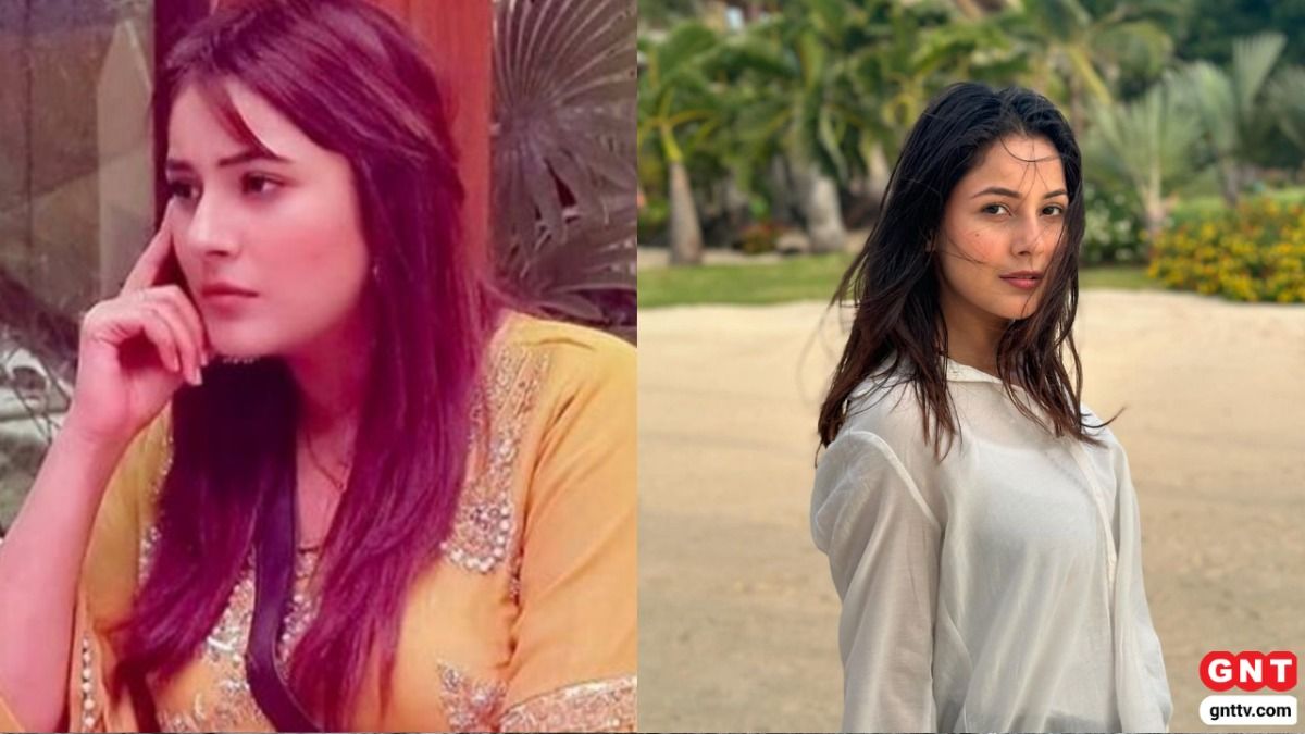 Shehnaaz Gill Weight Loss (Photo Credit: Instagram_Shehnaazgill)