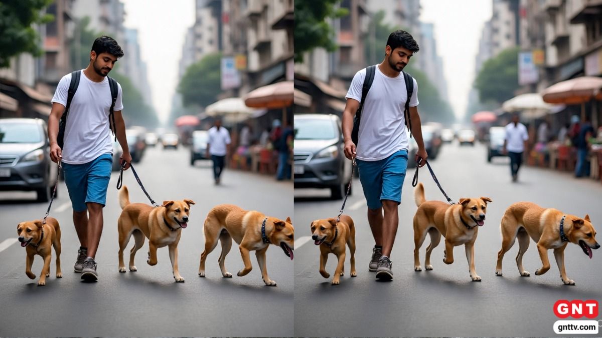 Dog Walker in Maharashtra (Photo Credit: AI) 
