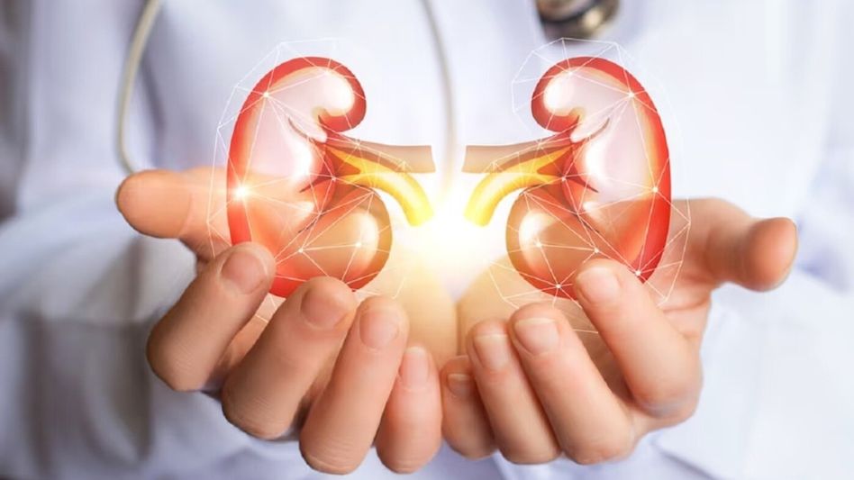 Kidney Racket Kidney Racket
