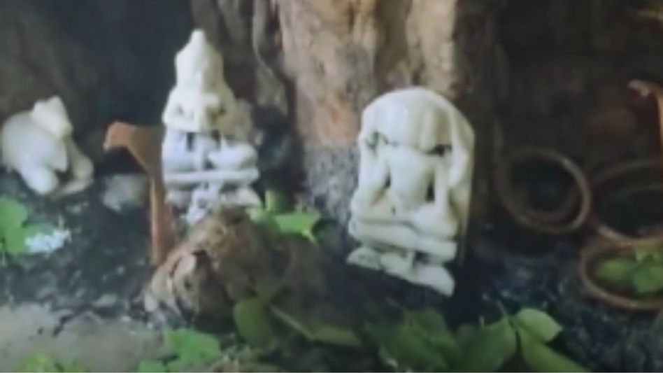 Naldeshwar Mahadev Naldeshwar Mahadev