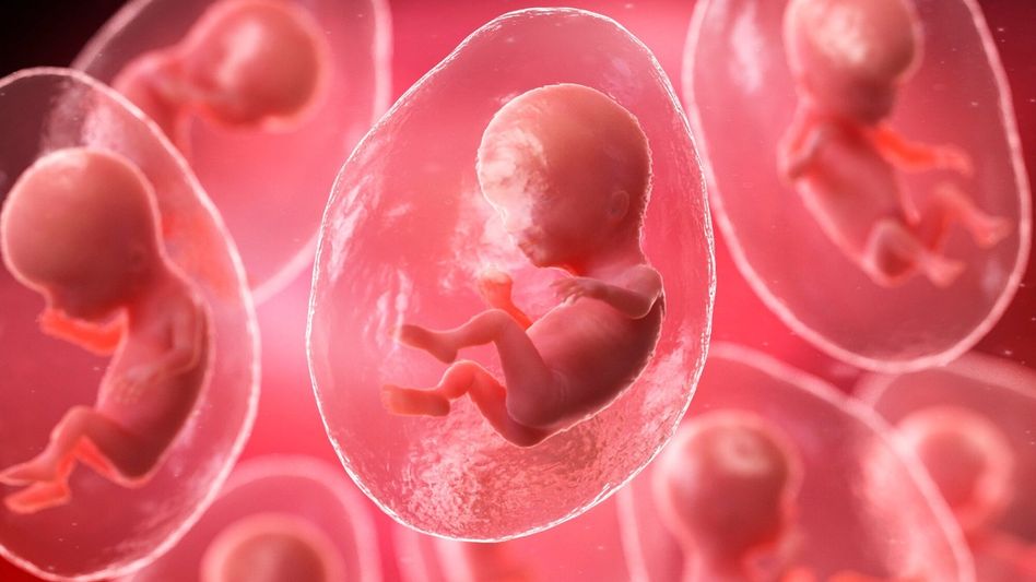 30-year-old embryo 30-year-old embryo