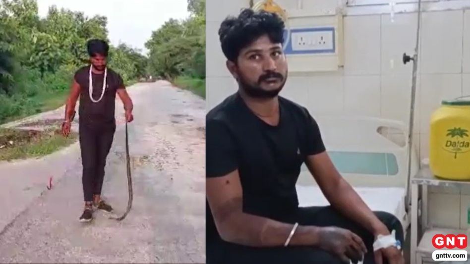 Snake Bite in Pilibhit Snake Bite in Pilibhit