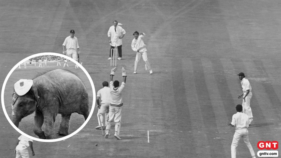 IND vs ENG Oval Test (Photo Credit: Getty) IND vs ENG Oval Test (Photo Credit: Getty)