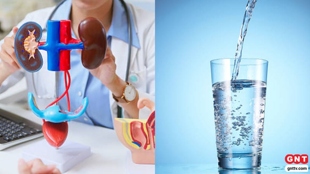 Drinking Water For Kidney (Photo Credit: Getty)