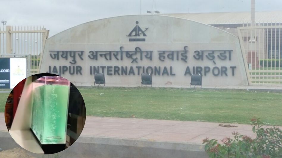 Ocean tree technique installed in Jaipur Airport Ocean tree technique installed in Jaipur Airport