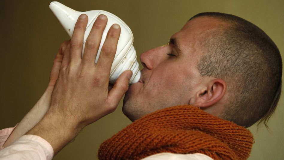 conch shell benefits/Photo: Getty conch shell benefits/Photo: Getty