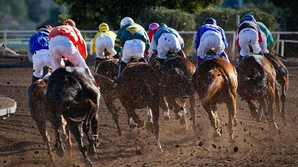 Horse racing Horse racing