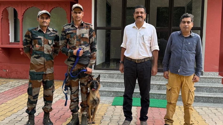 Ranthambore Tiger Reserve Gets First Wildlife Sniffer Dog Squad Ranthambore Tiger Reserve Gets First Wildlife Sniffer Dog Squad