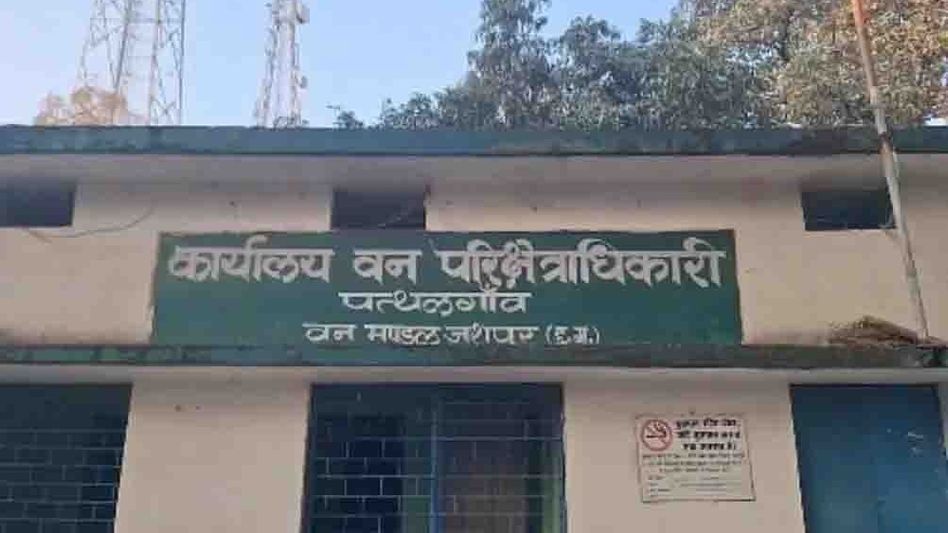 जशपुर हाथी हमला जशपुर हाथी हमला