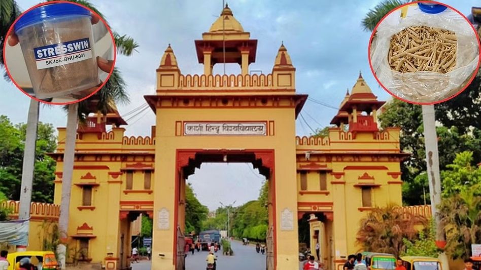 Banaras Hindu University and IIT BHU created Ayurvedic Medicine Stress Win Banaras Hindu University and IIT BHU created Ayurvedic Medicine Stress Win