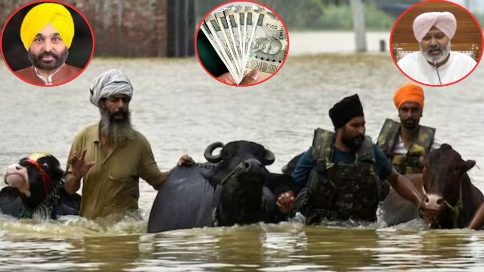 Flood in Punjab Flood in Punjab
