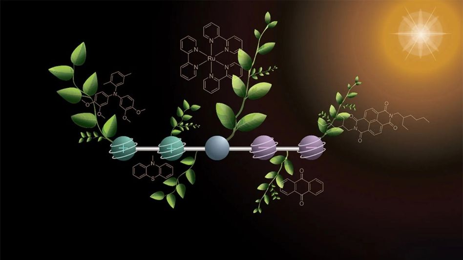 new molecule temporarily stores two positive and two negative charges. Credit: Deyanira Geisnæs Schaad new molecule temporarily stores two positive and two negative charges. Credit: Deyanira Geisnæs Schaad