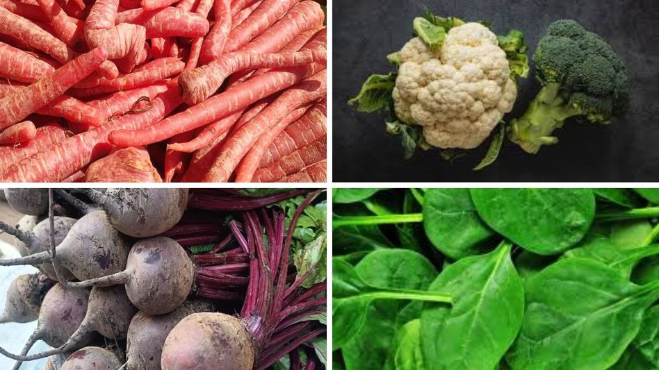 Vegetable Farming in October Vegetable Farming in October