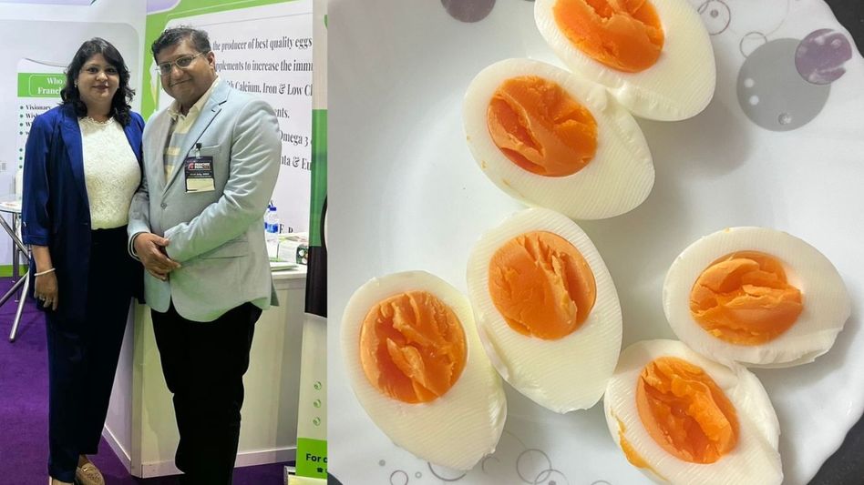 हर्बल अंडा फार्मिंग हर्बल अंडा फार्मिंग