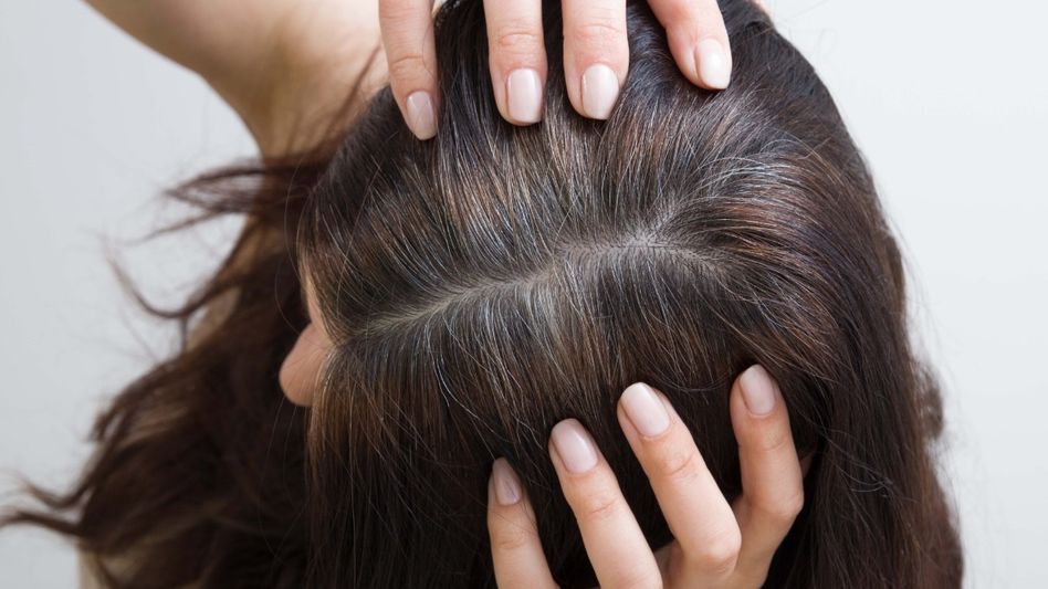 Grey Hair: Photo: Getty Grey Hair: Photo: Getty