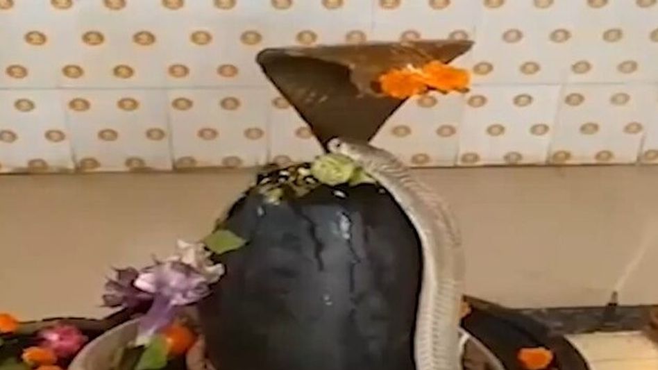 महालक्ष्मी व्रत की कहानी (प्रतीकात्मक तस्वीर) महालक्ष्मी व्रत की कहानी (प्रतीकात्मक तस्वीर)