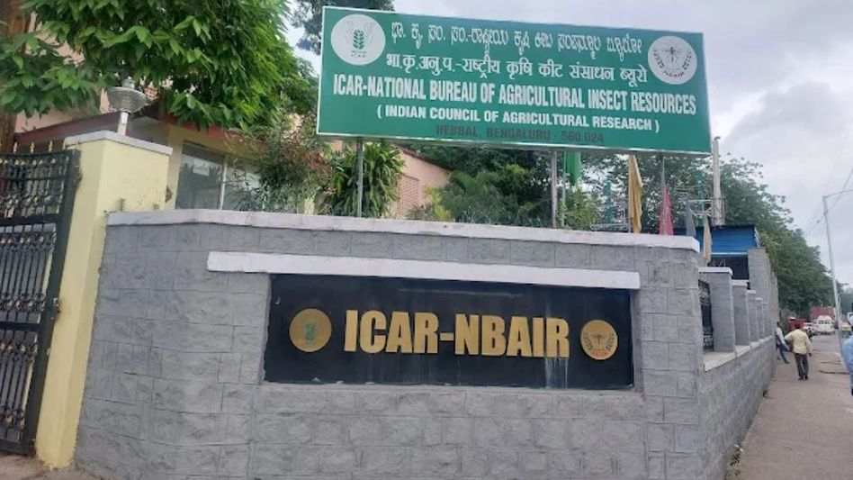 ICAR-NBIAR Scientists develop low-cost ‘Shatpada Fruit Fly Trap’ ICAR-NBIAR Scientists develop low-cost ‘Shatpada Fruit Fly Trap’