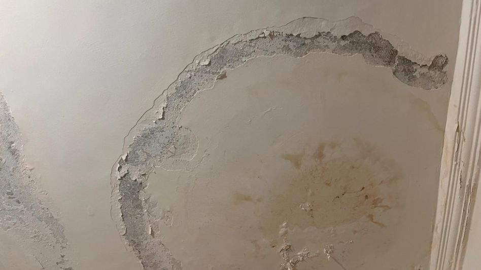 Wall Seepage Wall Seepage