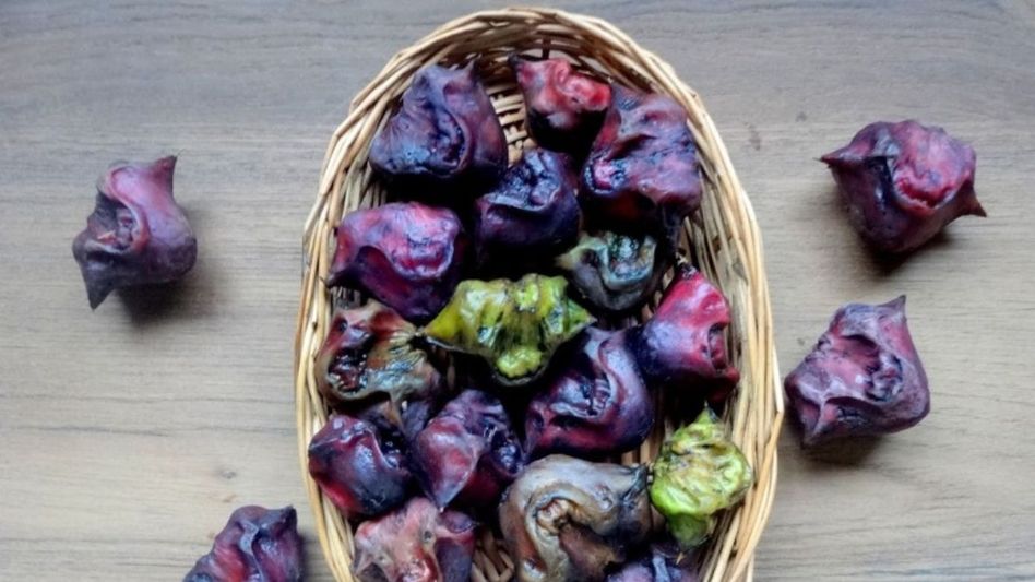 Water Chestnut Water Chestnut