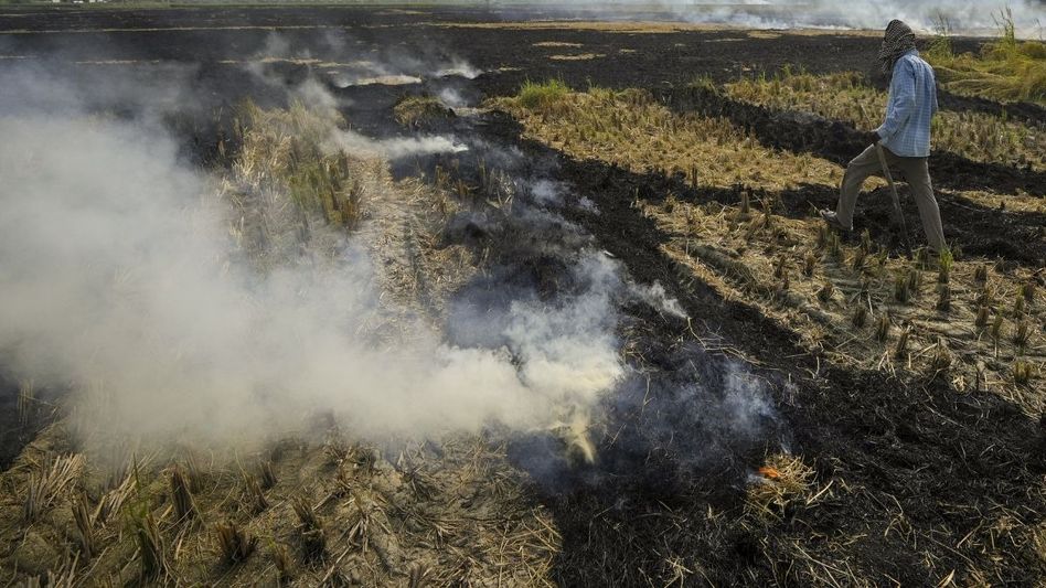 Burning Stubble Burning Stubble