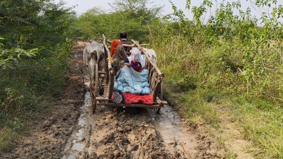 Pregnant woman taken to hospital in bullock cart