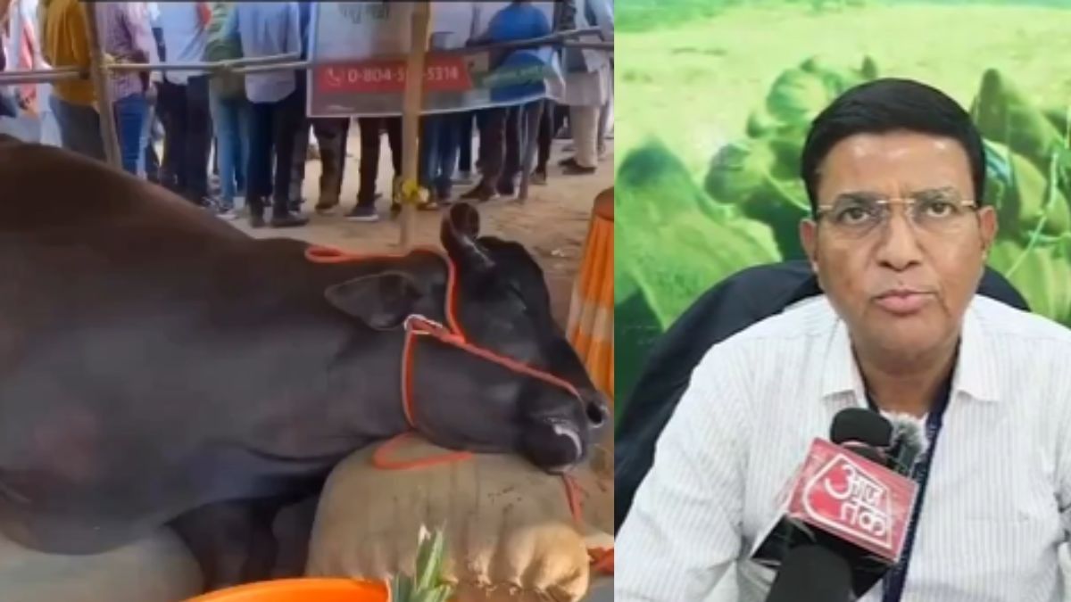 Buffalo Death Fact Check