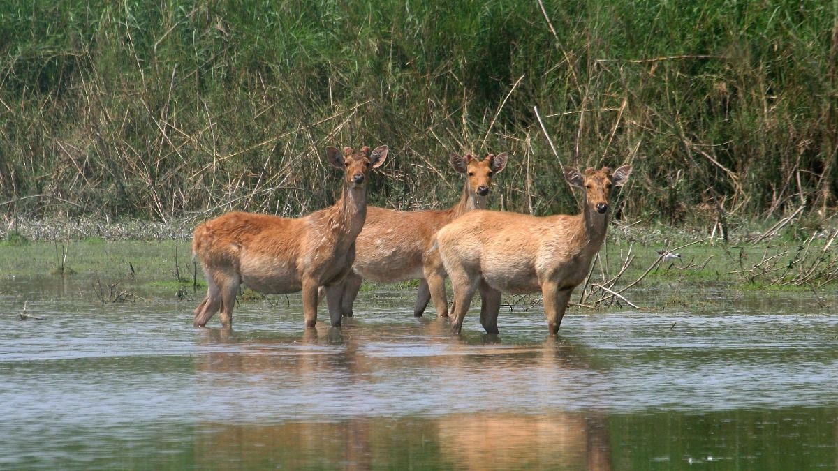 Modern Wellness Tourism Hub