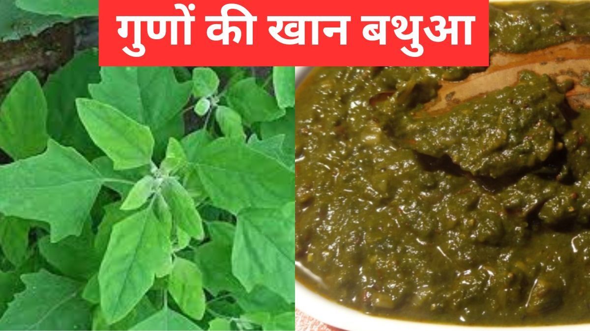 Bathua khane ke Fayde