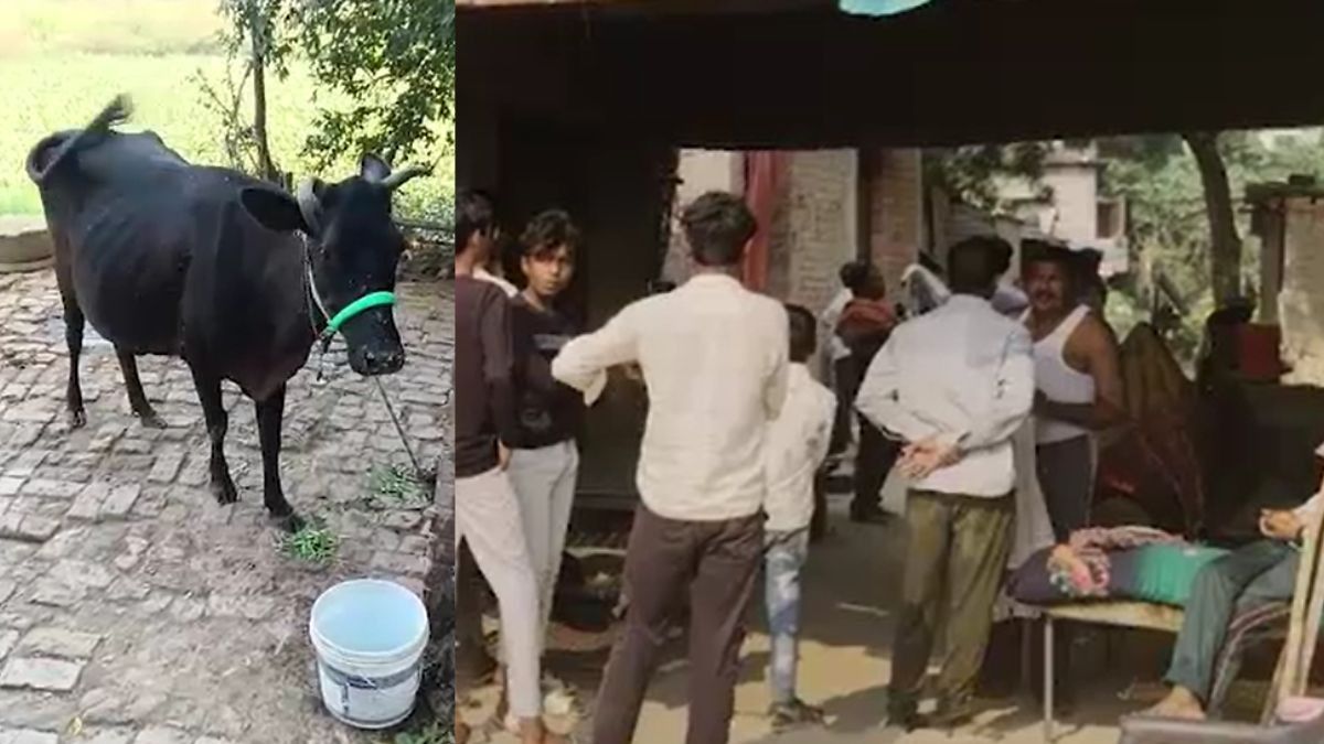 Rabies Scare in Gorakhpur