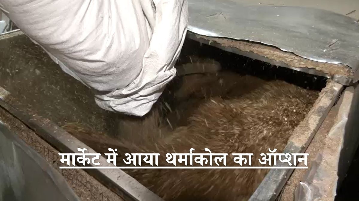 eco friendly thermocol