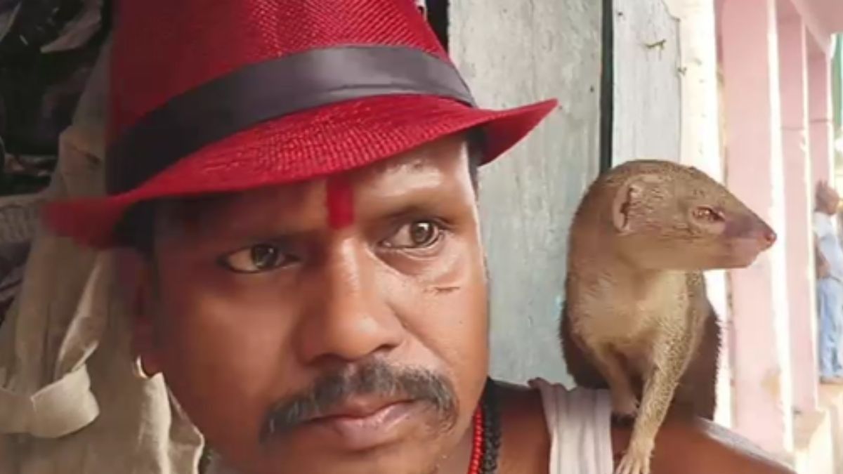 Man Mongoose Friendship