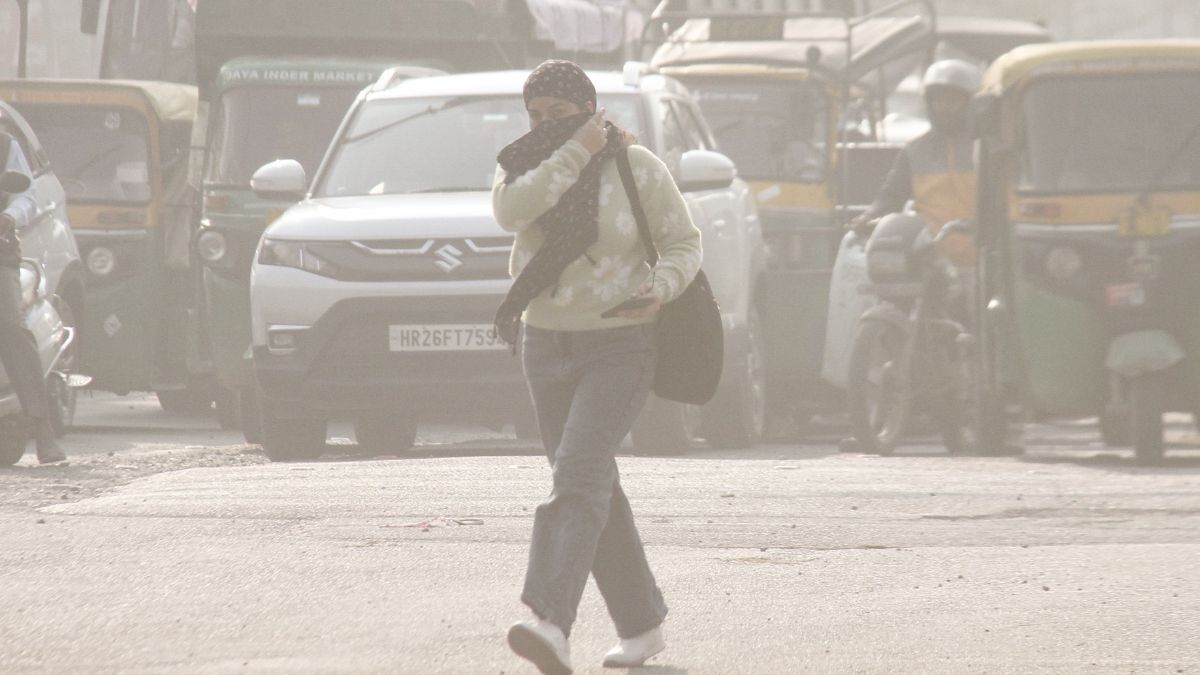 Air Pollution (Photo/PTI)