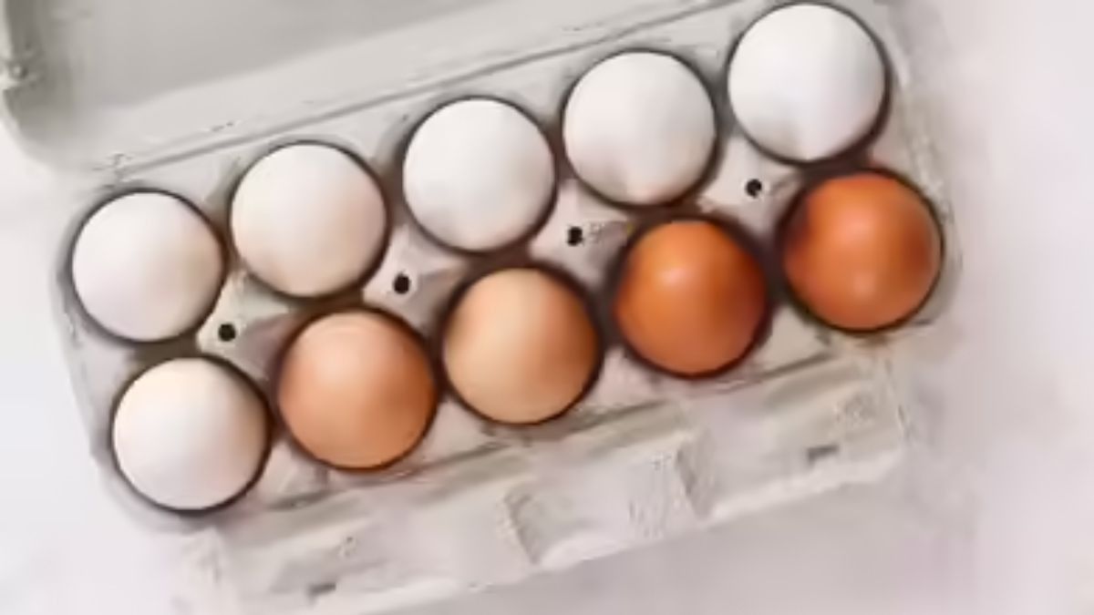 Eggoz Faces Backlash: Photo: Eggoz Nutrition