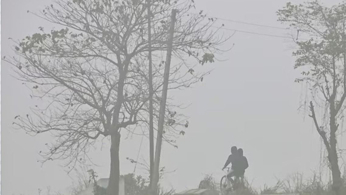 घना कोहरा 