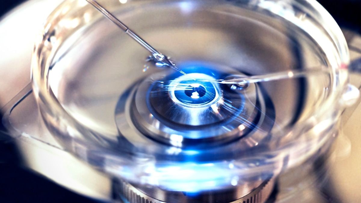 Close up of InVitro Fertilization in which donor sperm is injected into harvested egg cell to create embryo.