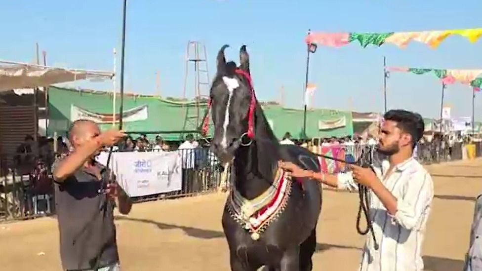 ब्रह्मोस घोड़ा