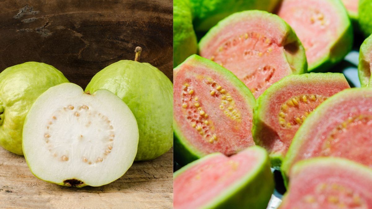 गुलाबी और सफेद अमरूद में अंतर