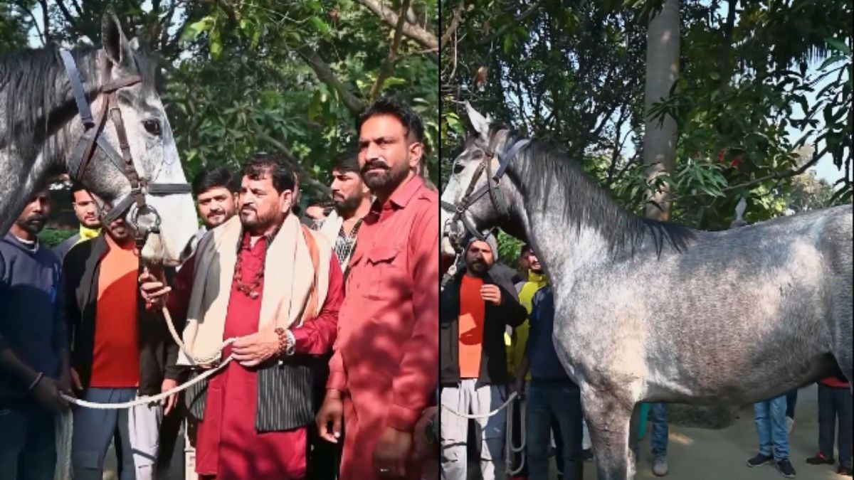 Brij Bhushan Sharan Singh