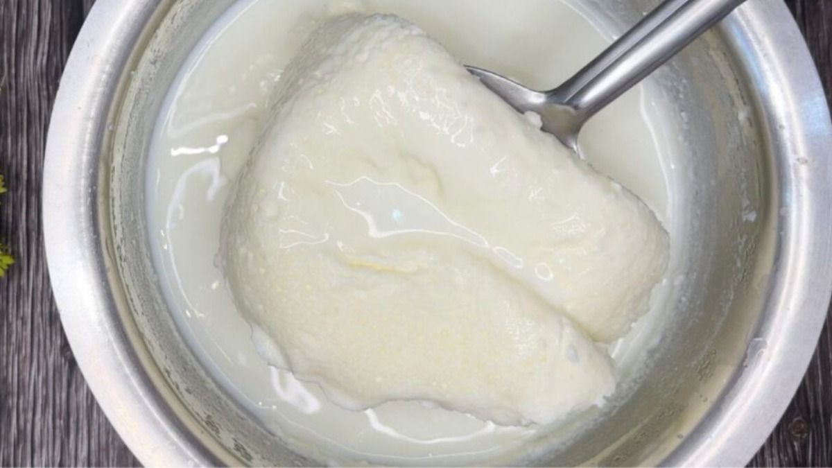 मलाई स्टोर करने का सही तरीका