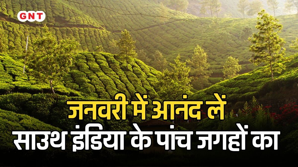 Tea Garden: kerala tour operator 