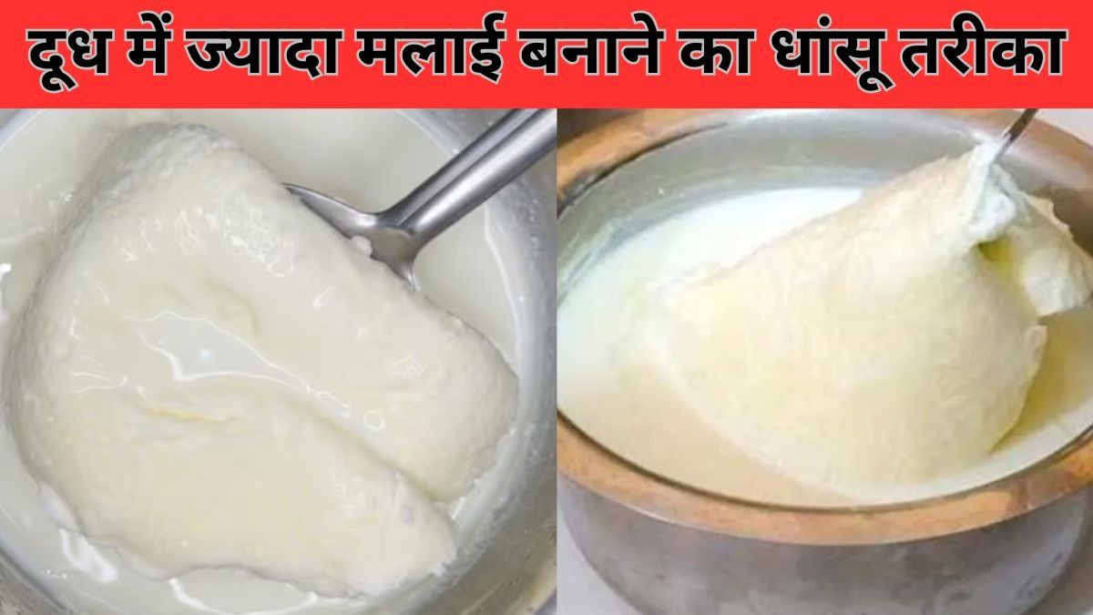  How To Make Thick Cream on Milk 