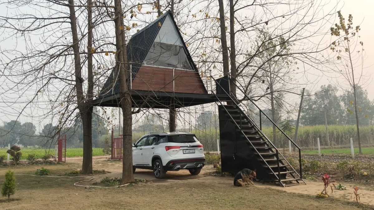 Saharanpur Tree House