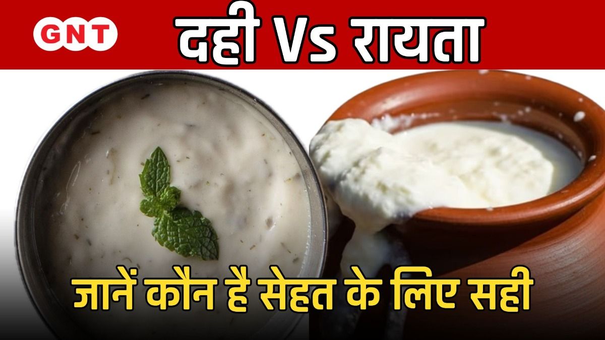 dahi vs raita 