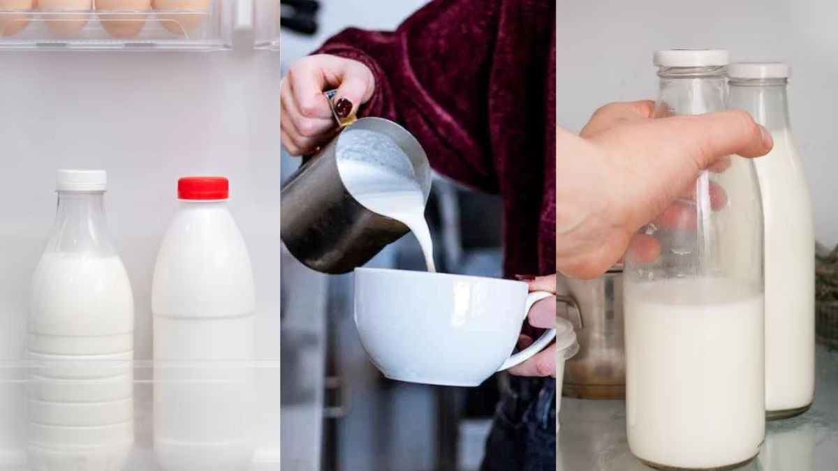 How to store milk in the Refrigerator