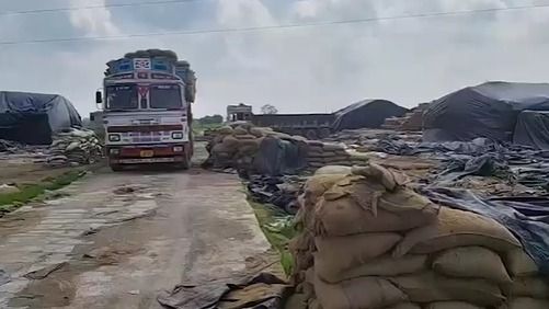 कवर्धा में 7 करोड़ का धान चूहे और दिमक खा गए