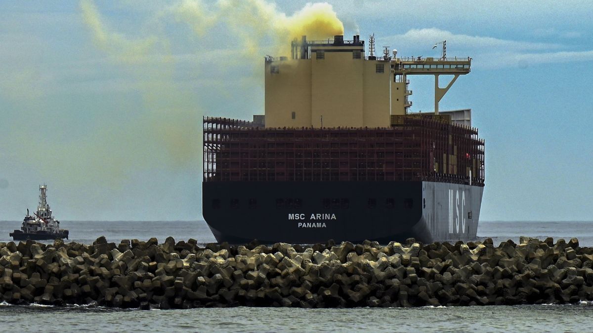 MSC Arina (Photo/PTI)