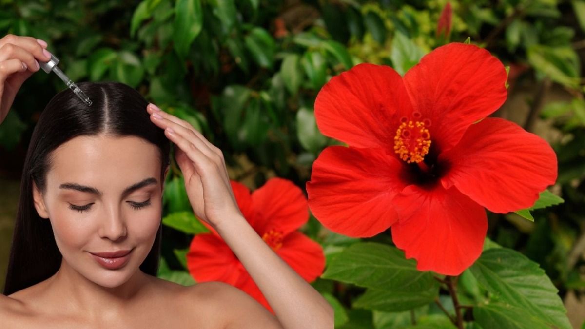 घर पर बनाएं गुड़हल का तेल