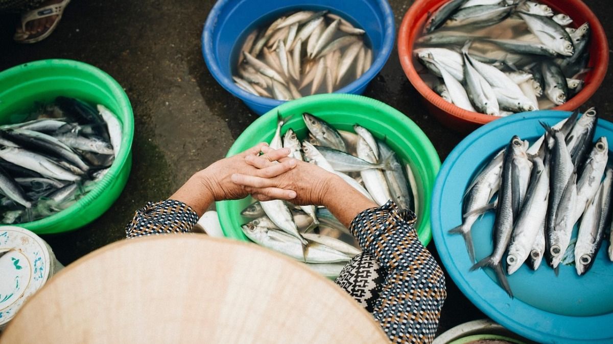 Woman swallows raw fish gallbladder