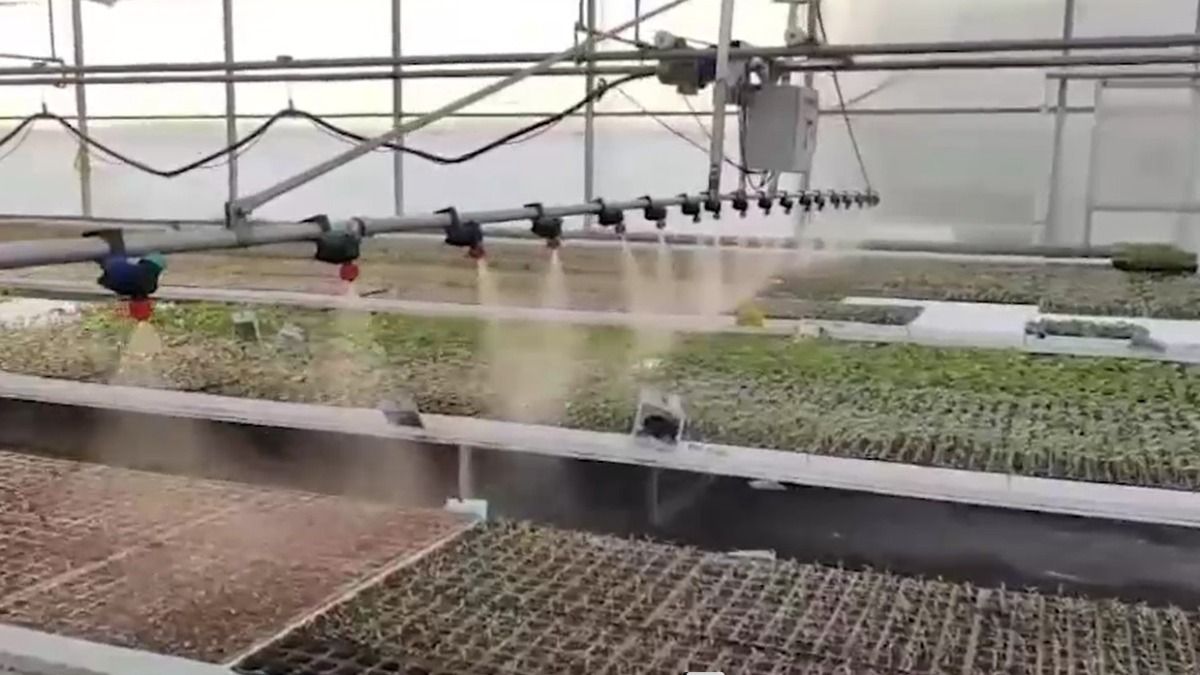 Mahoba High Tech Nursery 